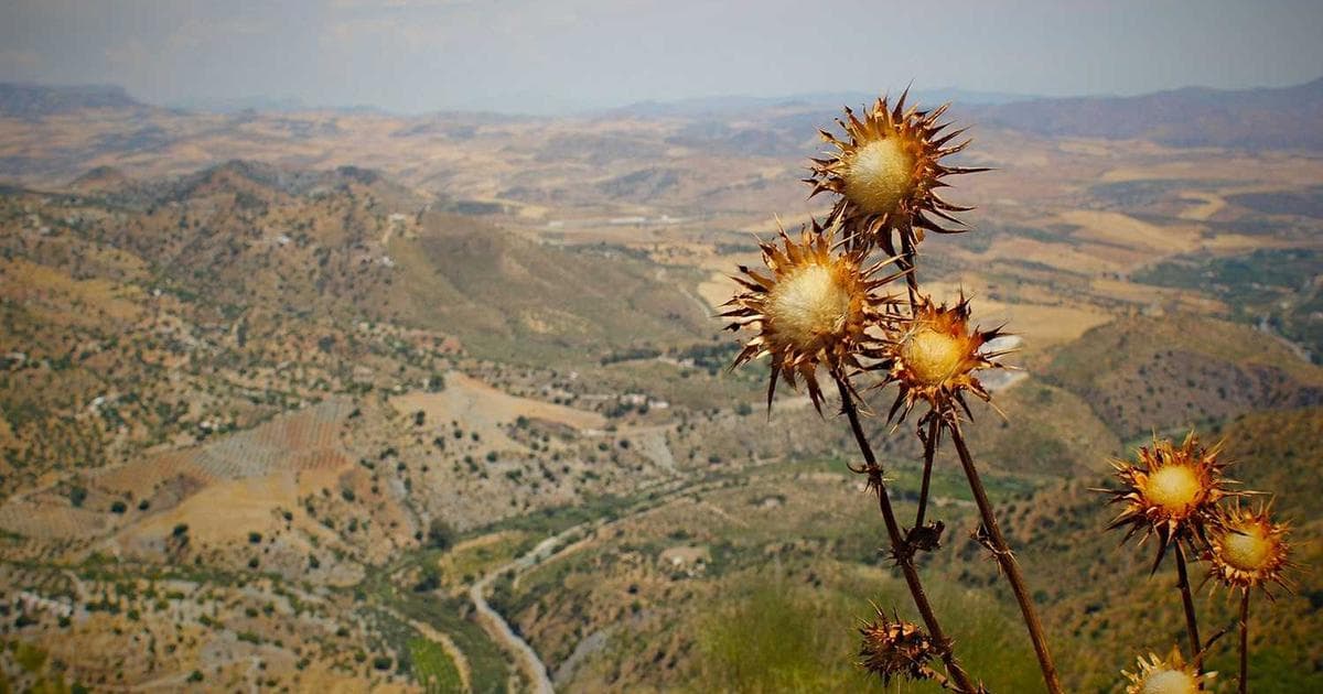 Data pipeline visualisation flowing from mining and financial sources into analytics dashboards representing Australian data engineering