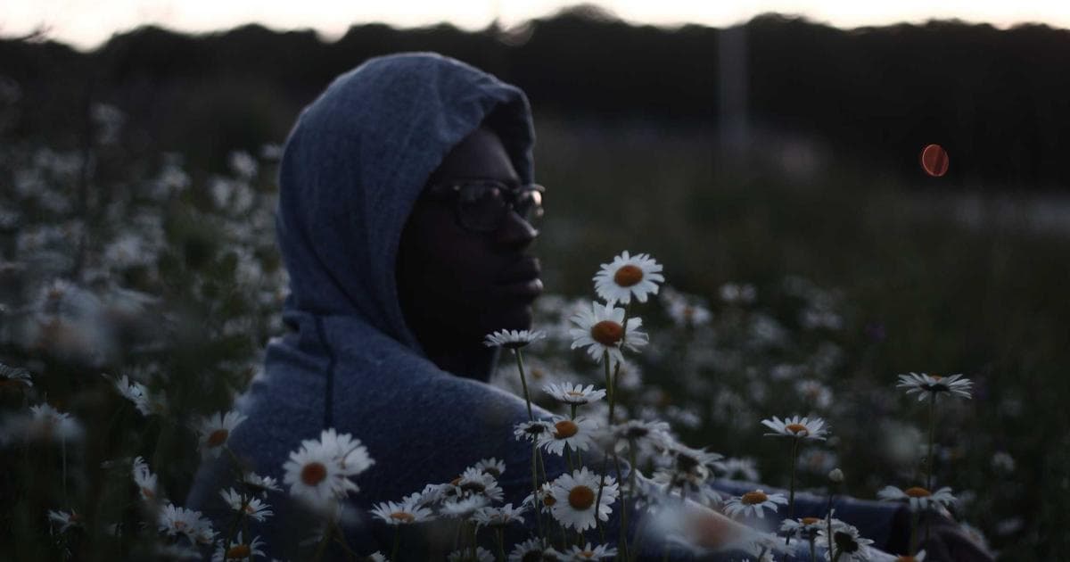 Power Platform solution architecture diagram showing Power Apps, Power Automate, Power BI, Copilot Studio, and Dataverse connected to Dynamics 365
