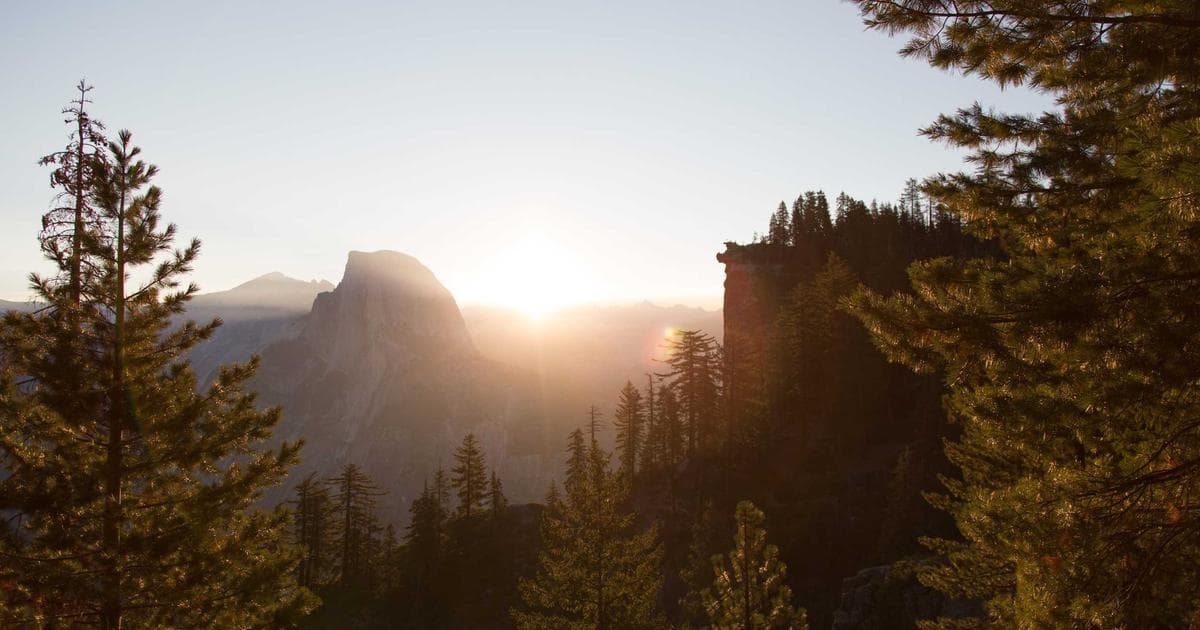 Process manufacturing facility with Infor M3 ERP dashboards showing supply chain planning, lot tracking, and production analytics