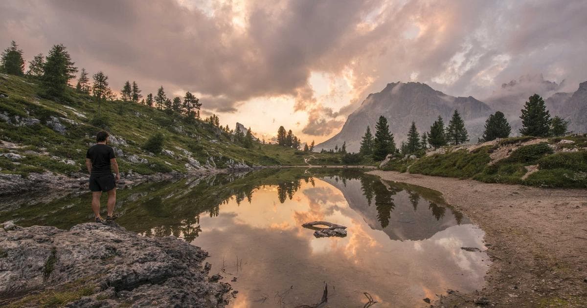 Migration pathway diagram showing legacy systems transitioning to modern cloud architecture through staged modernization