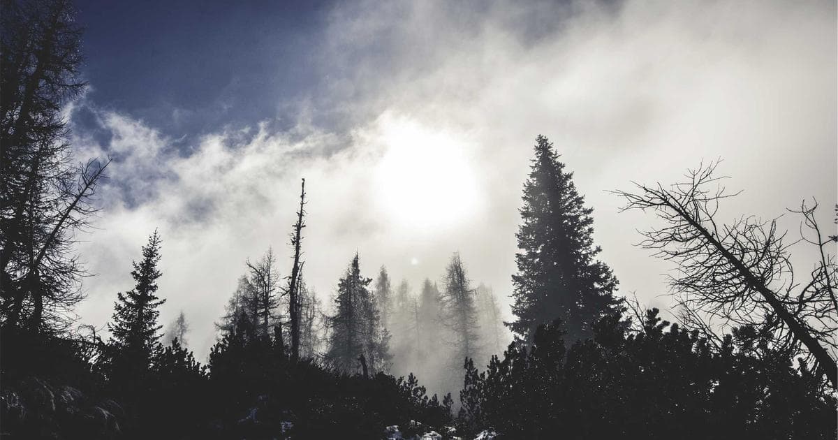 Process mining visualization showing end-to-end business process flows with bottleneck analysis and conformance checking