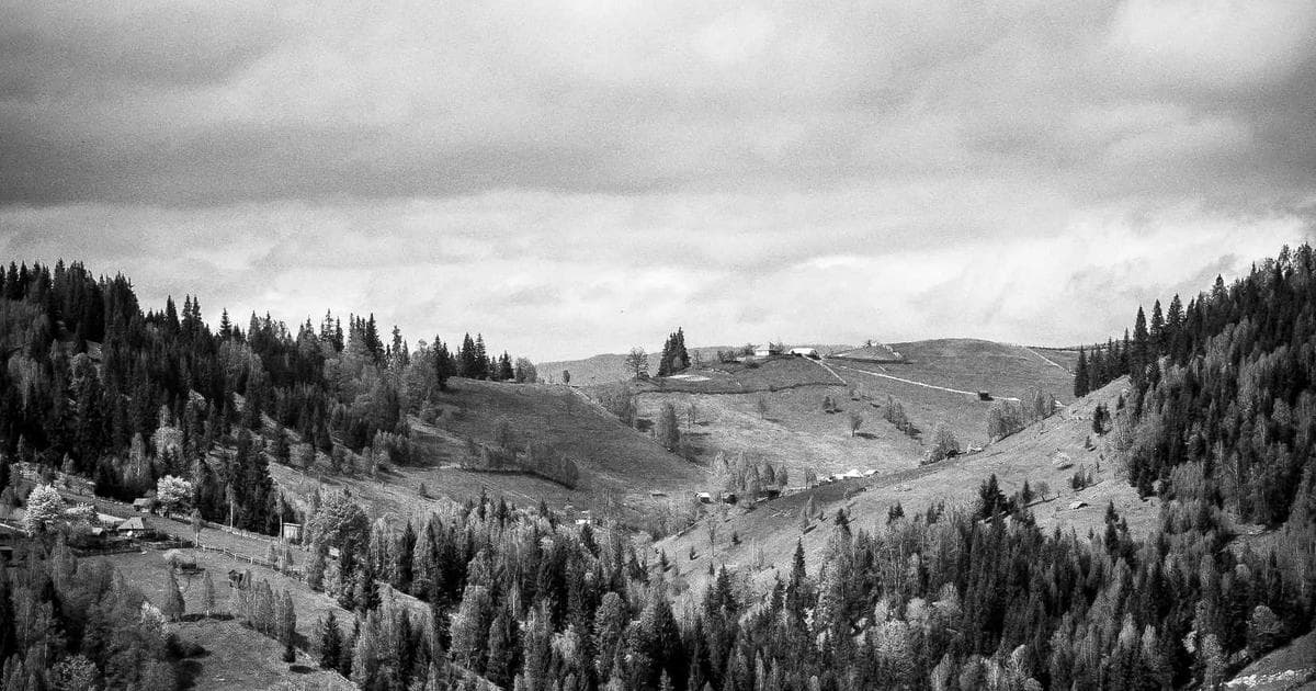 Container port logistics in Singapore with SAP enterprise system dashboard overlay