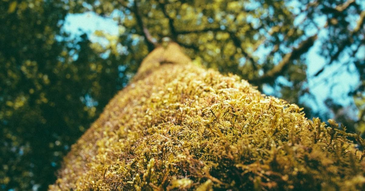 Kubernetes cluster visualization with US data center infrastructure