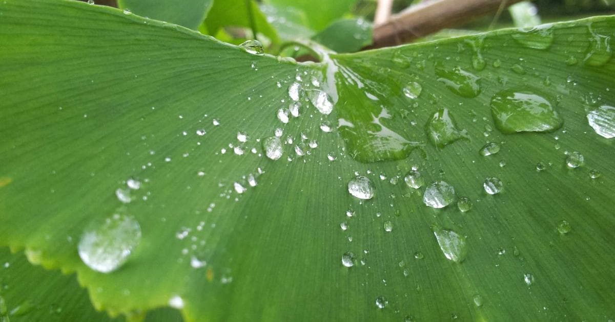 Dashboard showing trending IT skills and technology demand metrics